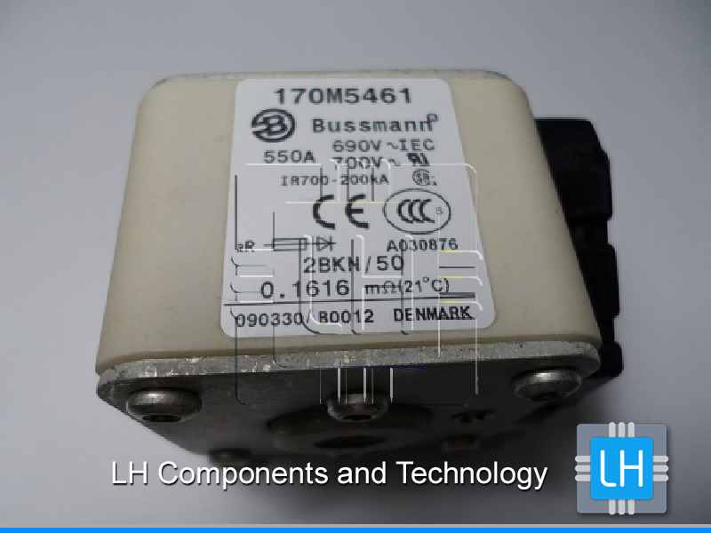 170M5461    FUSE HIGH SPEED